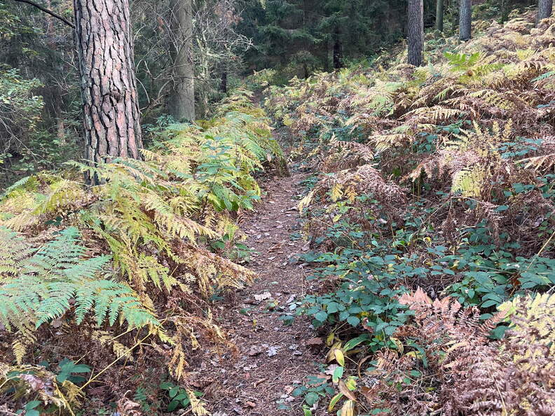 22-10-08 14-09-46 2534